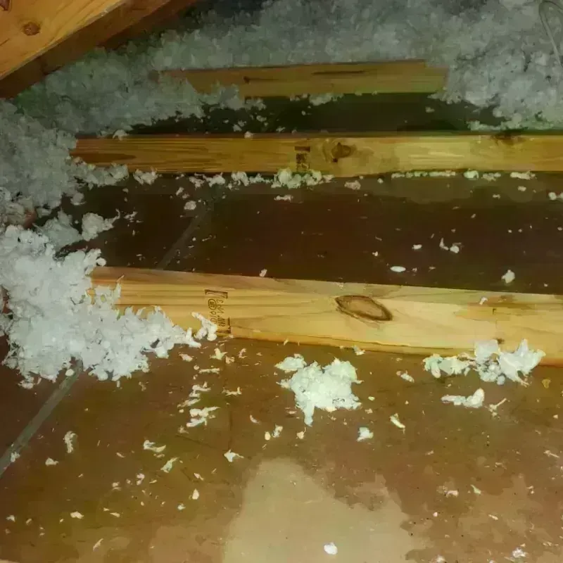 Attic Water Damage in La Parguera, PR